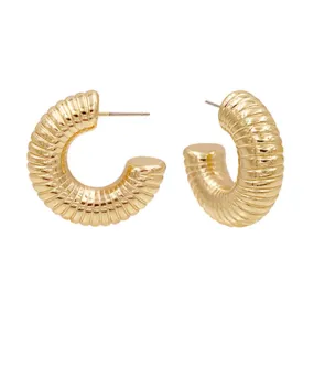 Coil Texture Metal Hoops