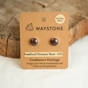 Sterling Silver Classic Confluence Earrings - Red Fossilized Dinosaur Bone